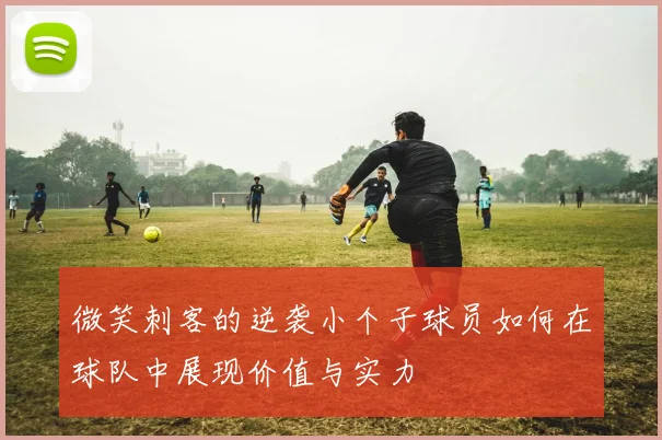 微笑刺客的逆袭小个子球员如何在球队中展现价值与实力