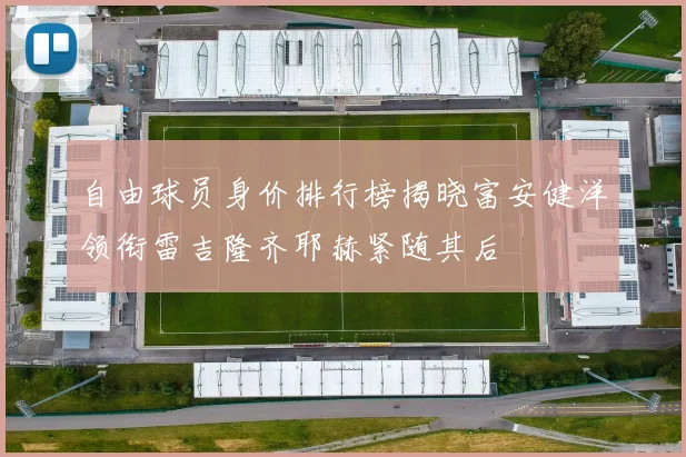 自由球员身价排行榜揭晓富安健洋领衔雷吉隆齐耶赫紧随其后