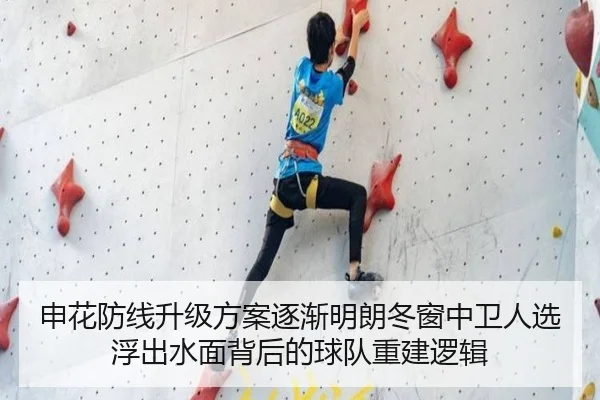 申花防线升级方案逐渐明朗冬窗中卫人选浮出水面背后的球队重建逻辑 | hth